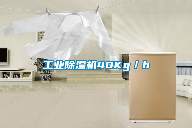 工業(yè)除濕機40Kg／h
