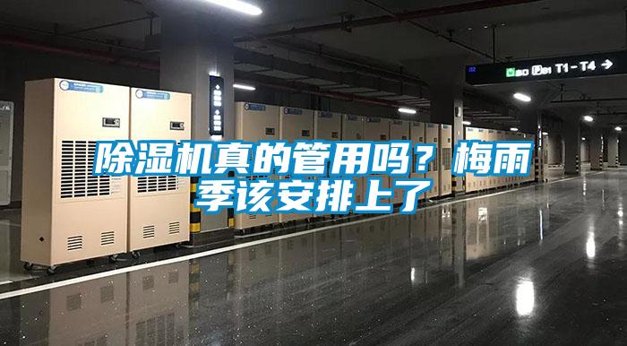 除濕機(jī)真的管用嗎？梅雨季該安排上了