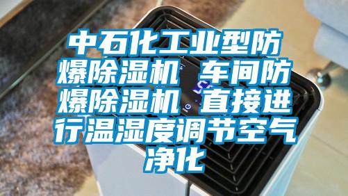 中石化工業(yè)型防爆除濕機 車間防爆除濕機 直接進行溫濕度調節(jié)空氣凈化