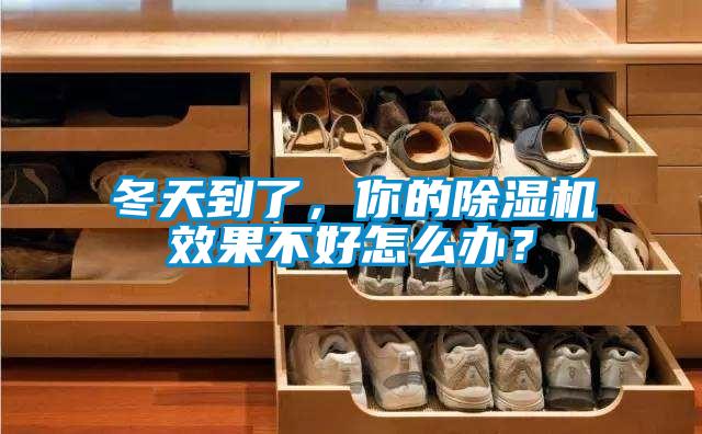 冬天到了，你的除濕機效果不好怎么辦？
