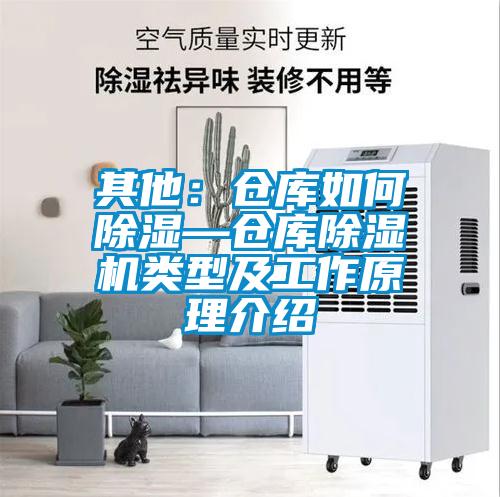 其他：倉(cāng)庫(kù)如何除濕—倉(cāng)庫(kù)除濕機(jī)類型及工作原理介紹