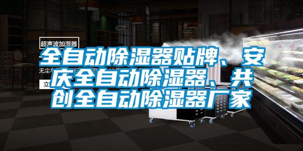 全自動除濕器貼牌、安慶全自動除濕器、共創(chuàng)全自動除濕器廠家