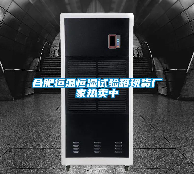 合肥恒溫恒濕試驗(yàn)箱現(xiàn)貨廠家熱賣中