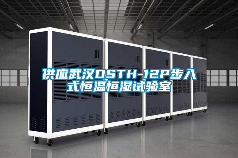 供應(yīng)武漢DSTH-12P步入式恒溫恒濕試驗(yàn)室