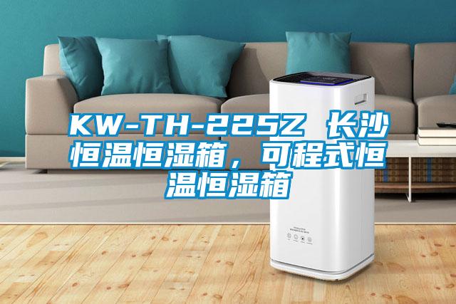 KW-TH-225Z 長(zhǎng)沙恒溫恒濕箱，可程式恒溫恒濕箱