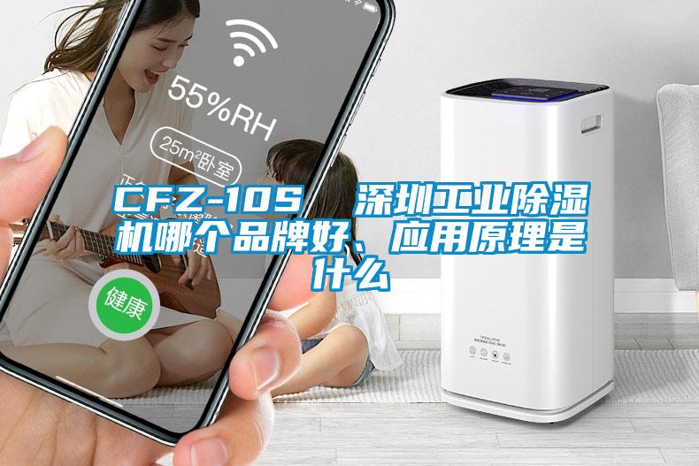 CFZ-10S  深圳工業(yè)除濕機哪個品牌好、應用原理是什么