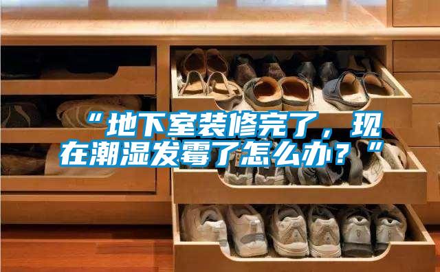 “地下室裝修完了，現(xiàn)在潮濕發(fā)霉了怎么辦？”