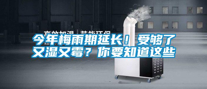 今年梅雨期延長！受夠了又濕又霉？你要知道這些