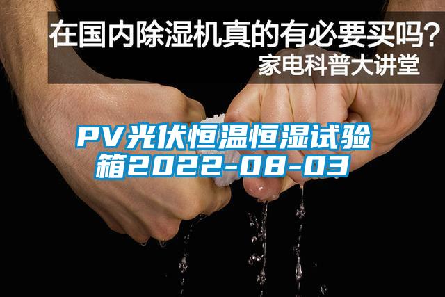 PV光伏恒溫恒濕試驗箱2022-08-03