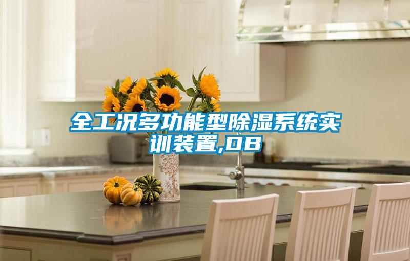 全工況多功能型除濕系統(tǒng)實訓裝置,DB