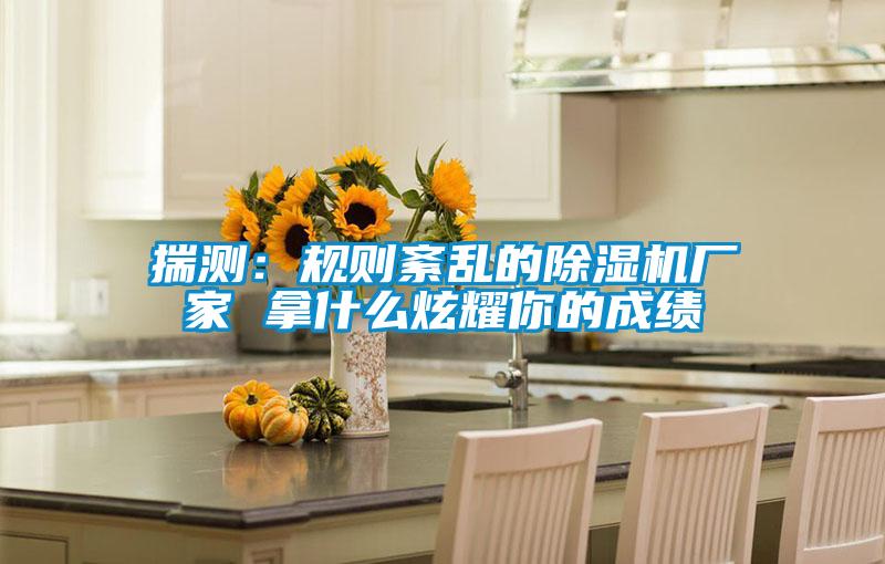 揣測：規(guī)則紊亂的除濕機(jī)廠家 拿什么炫耀你的成績