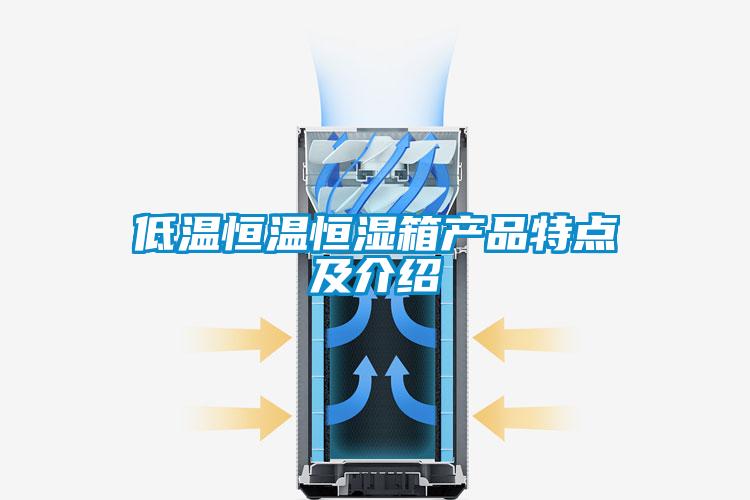 低溫恒溫恒濕箱產(chǎn)品特點(diǎn)及介紹