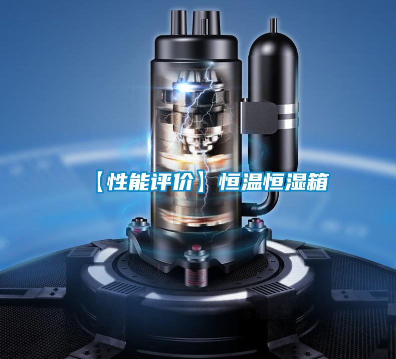 【性能評價(jià)】恒溫恒濕箱