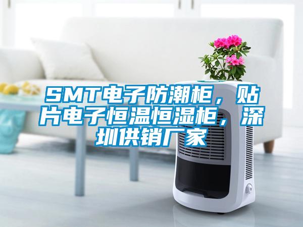 SMT電子防潮柜，貼片電子恒溫恒濕柜，深圳供銷廠家