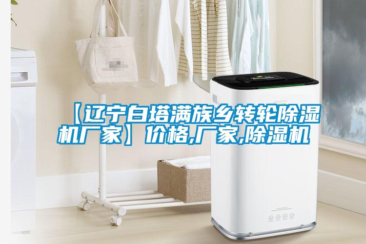 【遼寧白塔滿族鄉(xiāng)轉輪除濕機廠家】價格,廠家,除濕機