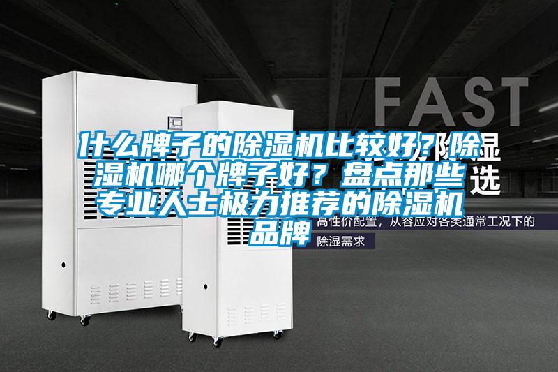 什么牌子的除濕機比較好？除濕機哪個牌子好？盤點那些專業(yè)人士極力推薦的除濕機品牌