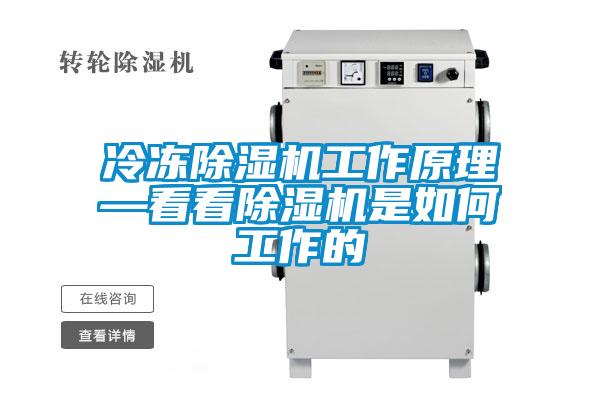 冷凍除濕機(jī)工作原理—看看除濕機(jī)是如何工作的