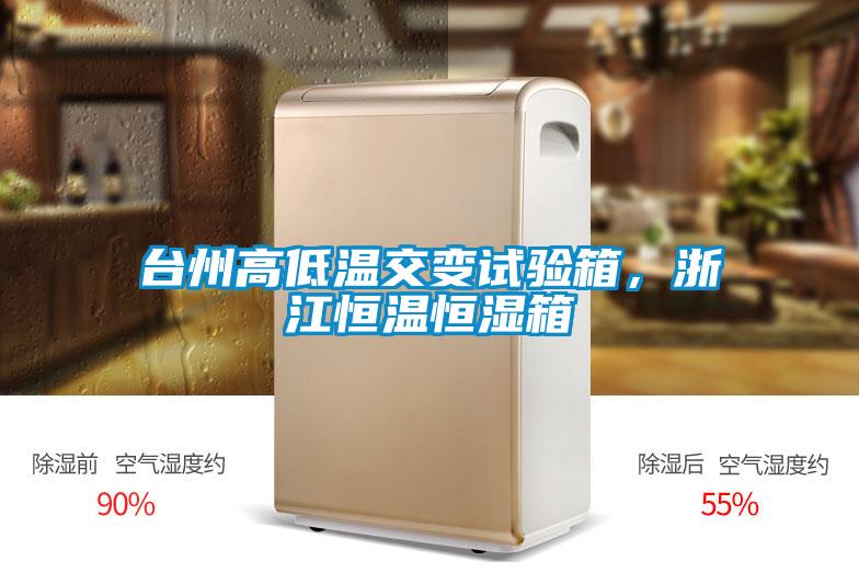 臺州高低溫交變試驗箱，浙江恒溫恒濕箱