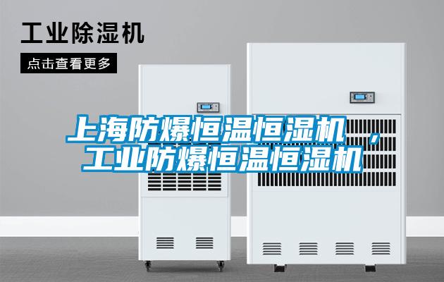 上海防爆恒溫恒濕機 ，工業(yè)防爆恒溫恒濕機