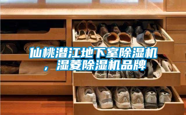 仙桃潛江地下室除濕機(jī)，濕菱除濕機(jī)品牌