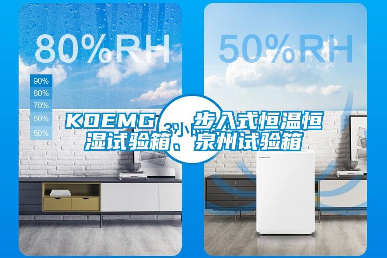 KOEMG 、步入式恒溫恒濕試驗箱、泉州試驗箱