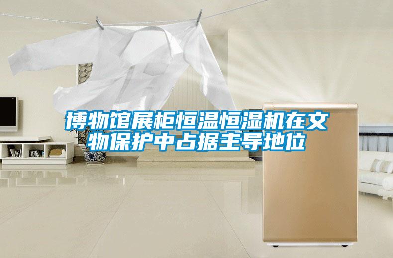 博物館展柜恒溫恒濕機在文物保護中占據(jù)主導(dǎo)地位