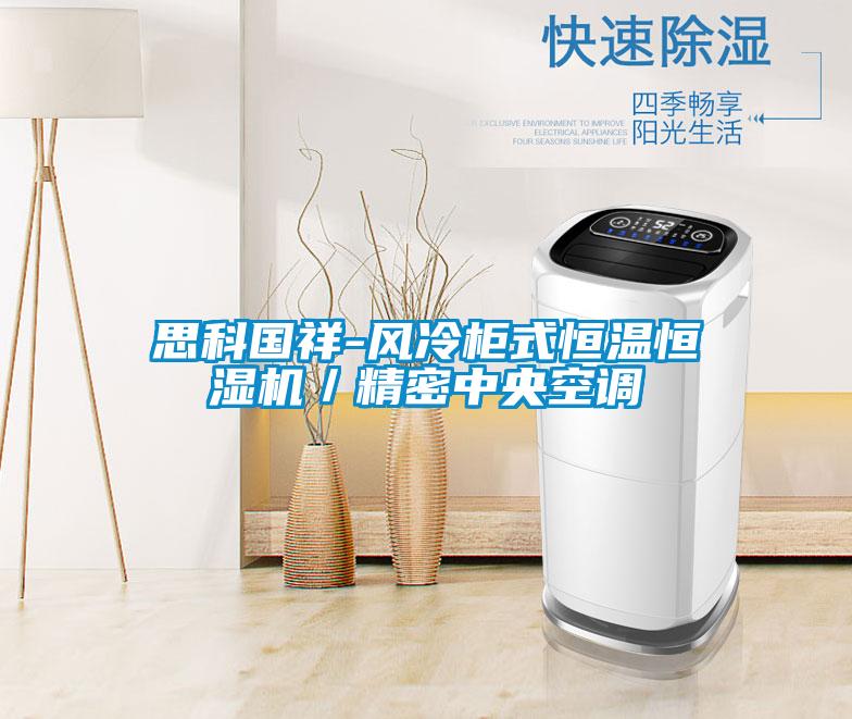 思科國祥-風(fēng)冷柜式恒溫恒濕機／精密中央空調(diào)