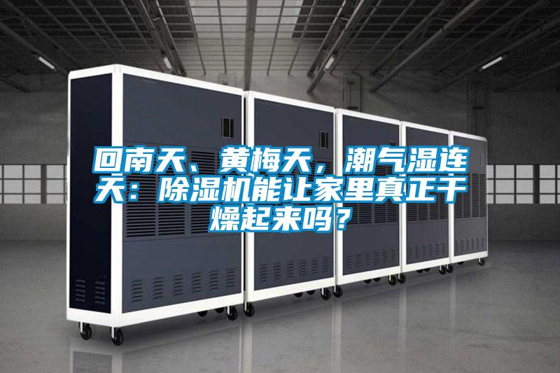 回南天、黃梅天，潮氣濕連天：除濕機(jī)能讓家里真正干燥起來(lái)嗎？