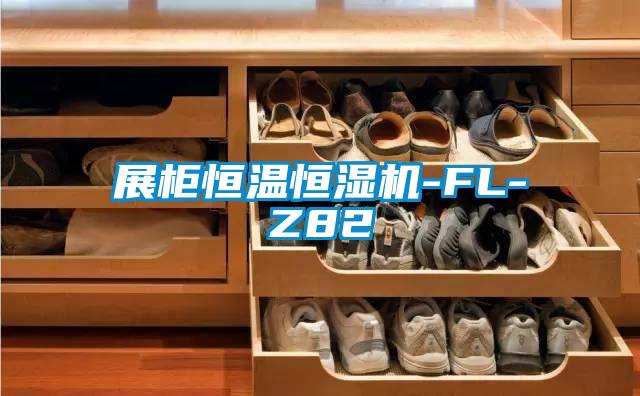 展柜恒溫恒濕機-FL-Z82