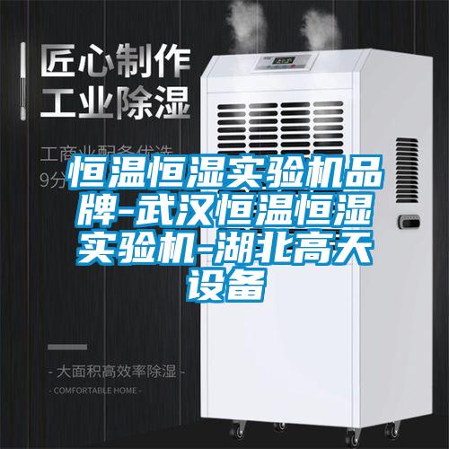 恒溫恒濕實驗機(jī)品牌-武漢恒溫恒濕實驗機(jī)-湖北高天設(shè)備
