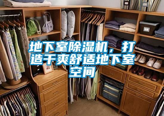 地下室除濕機，打造干爽舒適地下室空間