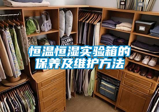 恒溫恒濕實(shí)驗(yàn)箱的保養(yǎng)及維護(hù)方法