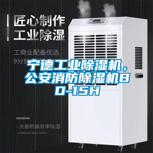 寧德工業(yè)除濕機(jī)，公安消防除濕機(jī)BD-15H