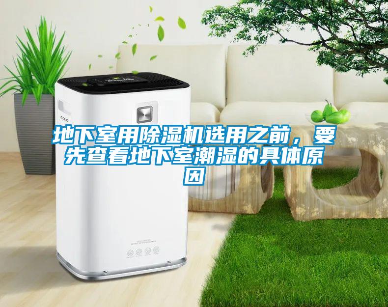 地下室用除濕機(jī)選用之前，要先查看地下室潮濕的具體原因