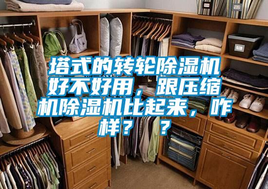 塔式的轉(zhuǎn)輪除濕機(jī)好不好用，跟壓縮機(jī)除濕機(jī)比起來，咋樣？ ？