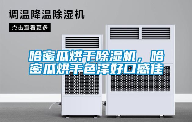 哈密瓜烘干除濕機，哈密瓜烘干色澤好口感佳