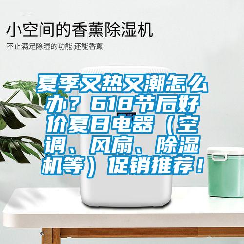 夏季又熱又潮怎么辦？618節(jié)后好價(jià)夏日電器（空調(diào)、風(fēng)扇、除濕機(jī)等）促銷推薦！