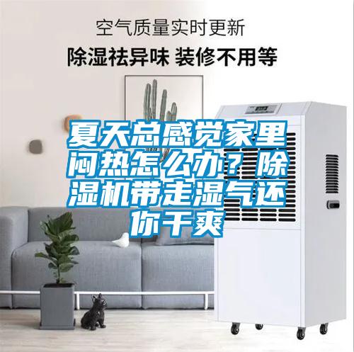 夏天總感覺家里悶熱怎么辦？除濕機(jī)帶走濕氣還你干爽