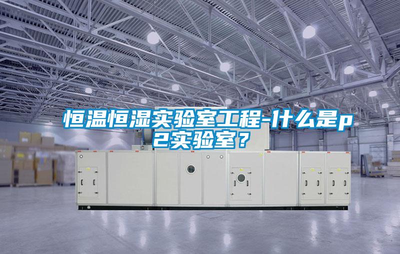 恒溫恒濕實(shí)驗(yàn)室工程-什么是p2實(shí)驗(yàn)室？