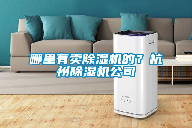 哪里有賣除濕機的？杭州除濕機公司