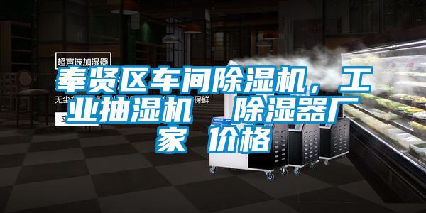 奉賢區(qū)車(chē)間除濕機(jī)，工業(yè)抽濕機(jī)  除濕器廠家 價(jià)格