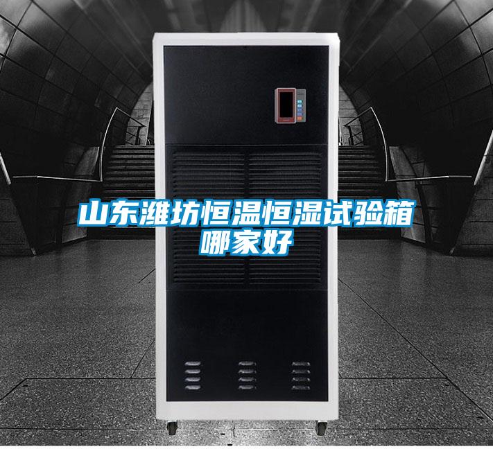 山東濰坊恒溫恒濕試驗箱哪家好