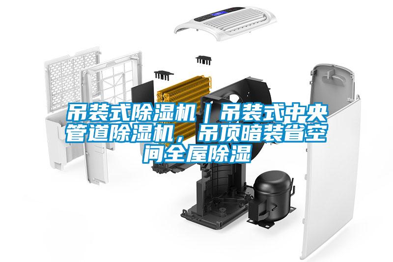 吊裝式除濕機(jī)｜吊裝式中央管道除濕機(jī)，吊頂暗裝省空間全屋除濕