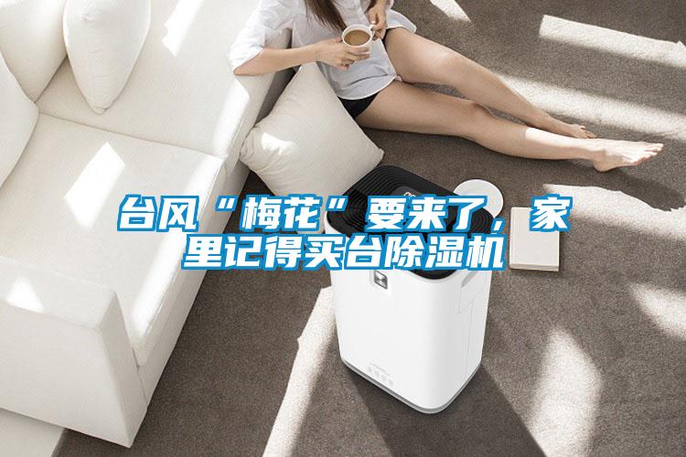臺風“梅花”要來了，家里記得買臺除濕機