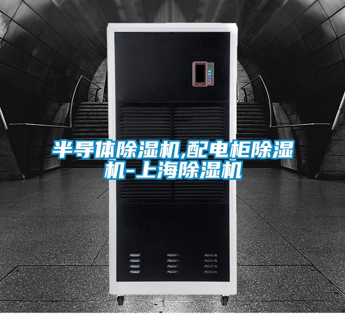 半導(dǎo)體除濕機,配電柜除濕機-上海除濕機