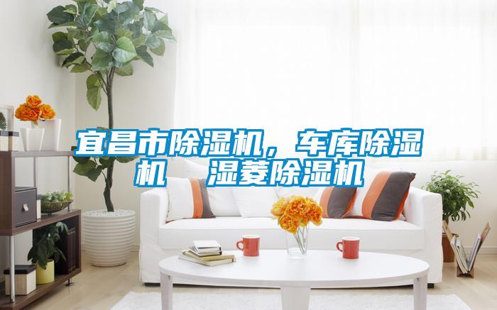 宜昌市除濕機(jī)，車庫除濕機(jī)  濕菱除濕機(jī)