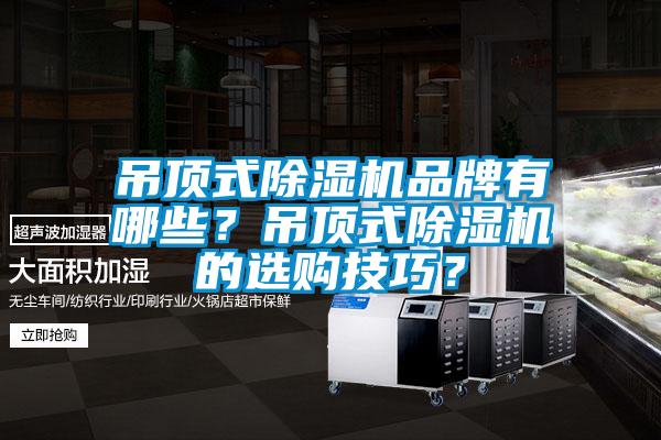 吊頂式除濕機品牌有哪些？吊頂式除濕機的選購技巧？
