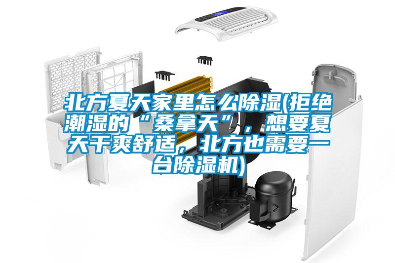 北方夏天家里怎么除濕(拒絕潮濕的“桑拿天”，想要夏天干爽舒適，北方也需要一臺除濕機)