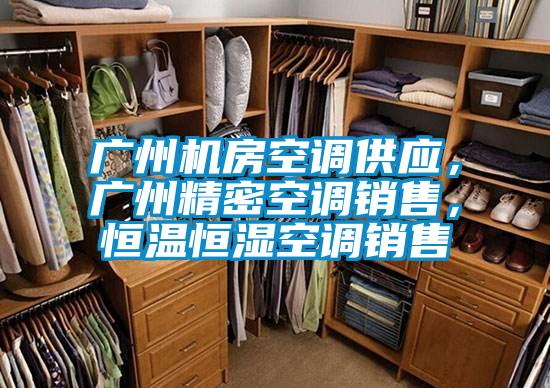 廣州機房空調(diào)供應(yīng)，廣州精密空調(diào)銷售，恒溫恒濕空調(diào)銷售