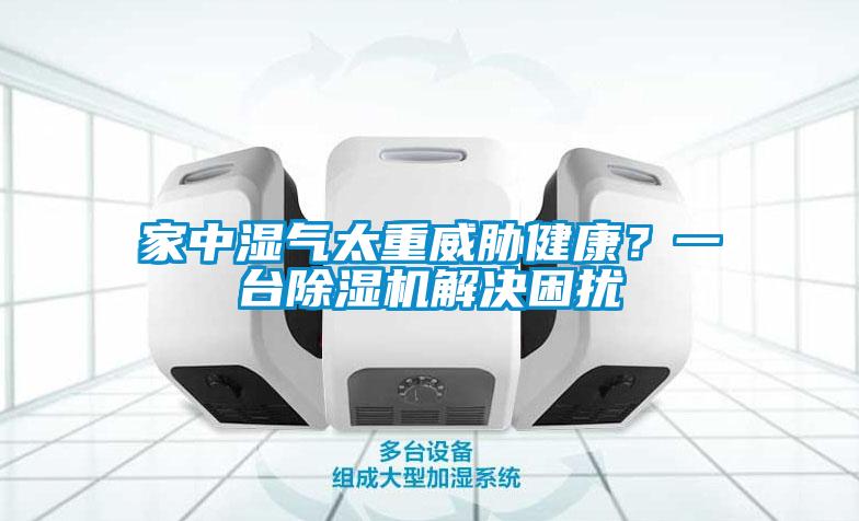 家中濕氣太重威脅健康？一臺除濕機(jī)解決困擾